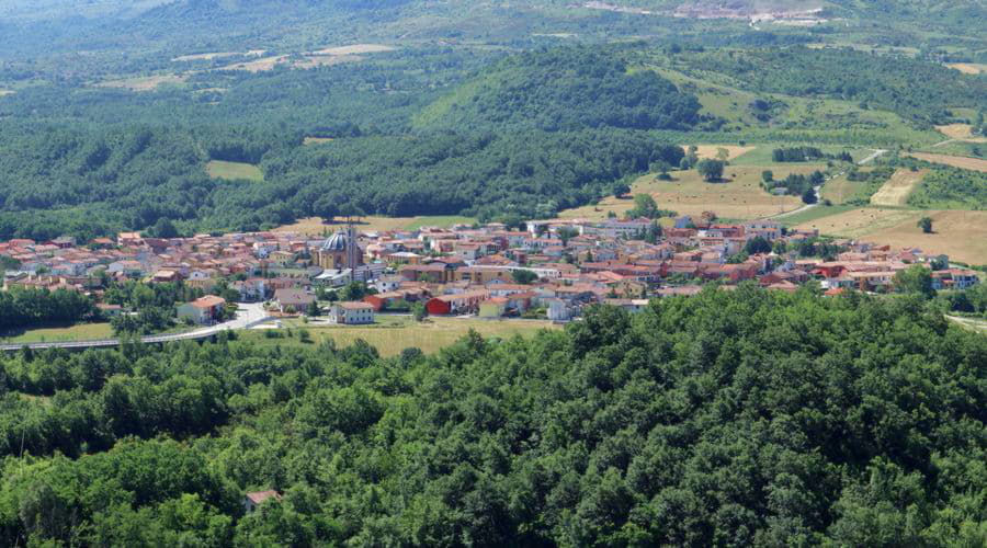 Jakie są najpopularniejsze wybory pojazdów w Conza della Campania?